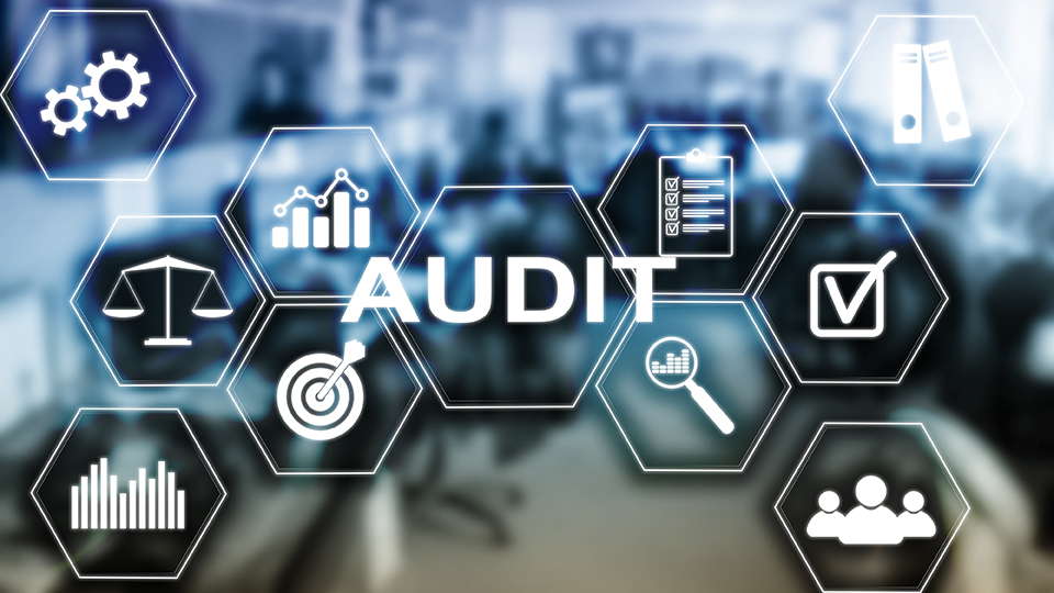 Part I: How to Protect Your Small Business from IRS Audits: Simple Tips to Avoid Common Red Flags